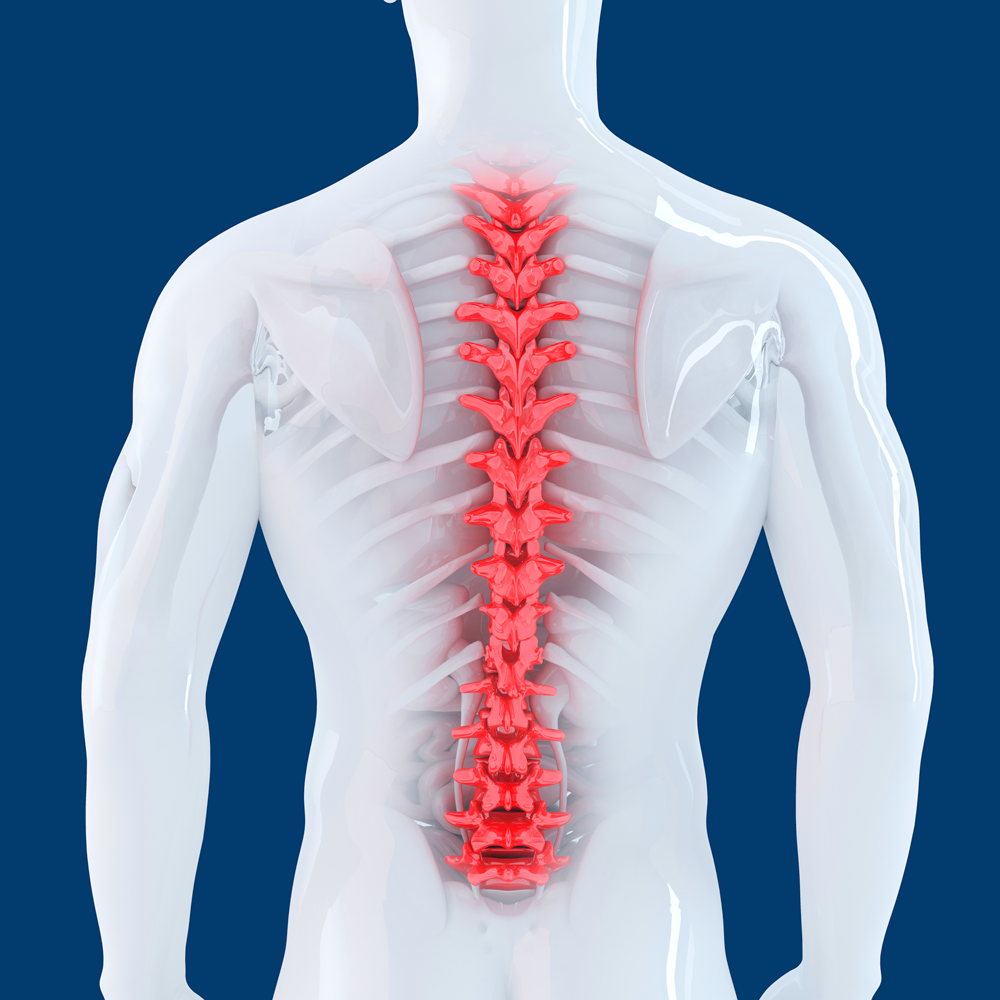Consejos para evitar el desgaste de articulaciones de tu columna vertebral
